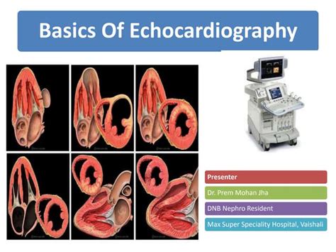 2d echo validity period|The basics of echocardiography .